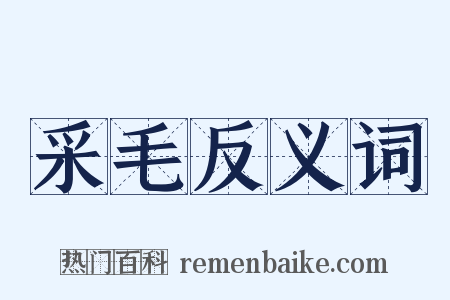 采毛反义词是什么意思的图片